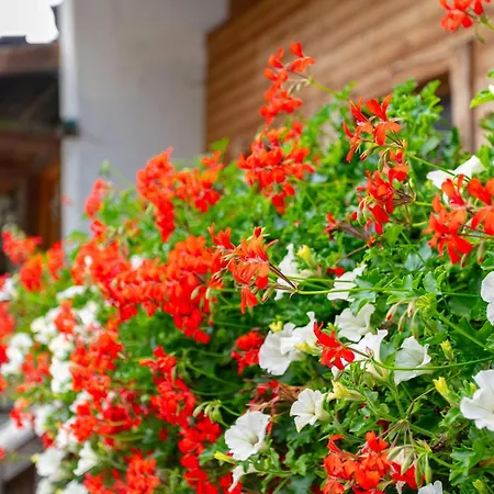 아파트 Am Bauernhof 1 알프바취